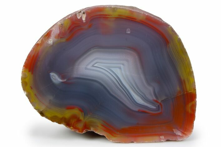 Colorful, Polished Patagonia Agate - Fluorescent! #260754